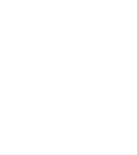 Bellus